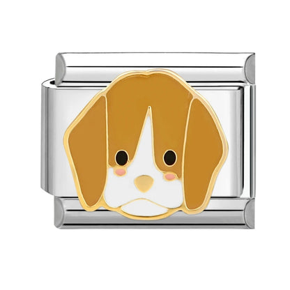 Colección gatitos y perritos