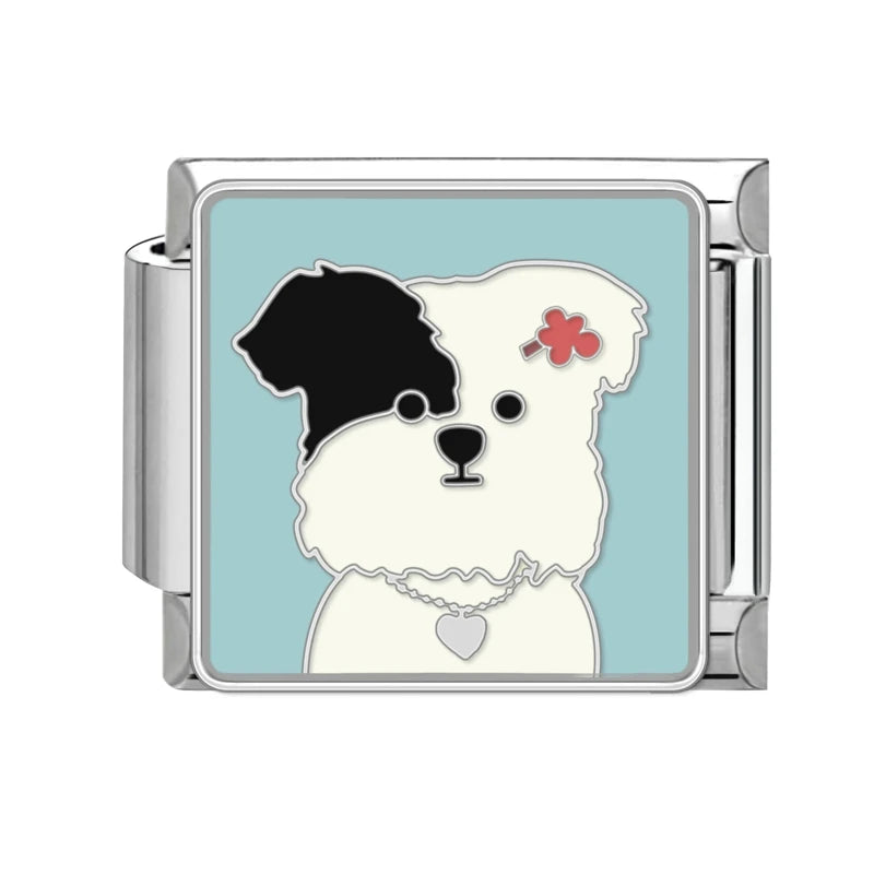 Colección gatitos y perritos