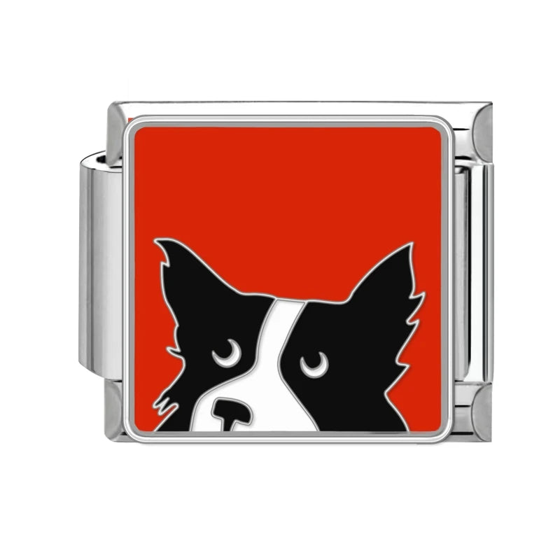 Colección gatitos y perritos